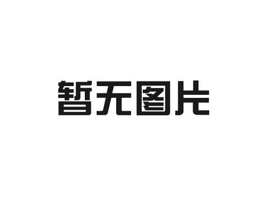 DRB-L系列电动润滑泵(20MPa)